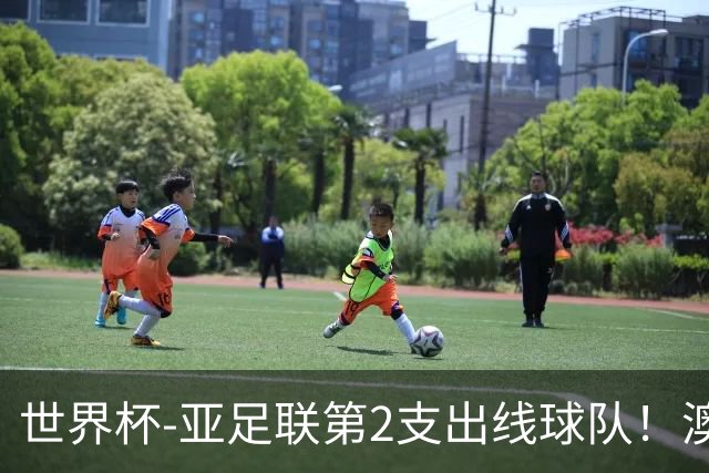 世界杯-亚足联第2支出线球队！澳大利亚0-0巴拉圭获小组第2