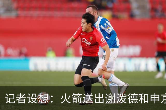 记者设想：火箭送出谢泼德&申京&DFS&亚当斯+2首轮 换字母哥&特纳